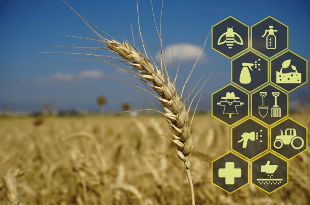 Agriculture and allied service